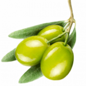 Масло оливы