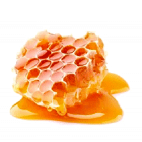 Прополис