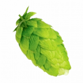 Хмель