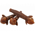 Гвоздика