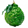 Бергамот