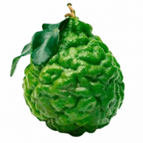 Бергамот